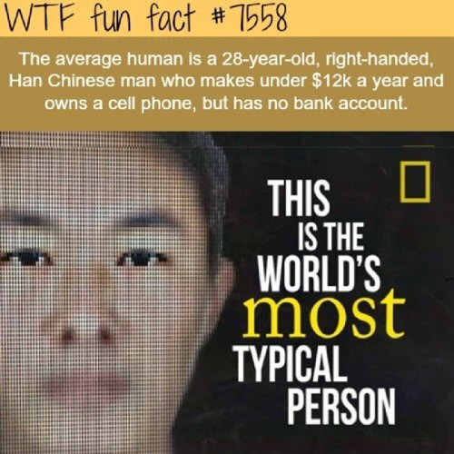 /images/Average.jpg