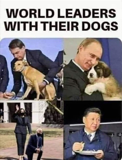 /images/Dogs.jpg