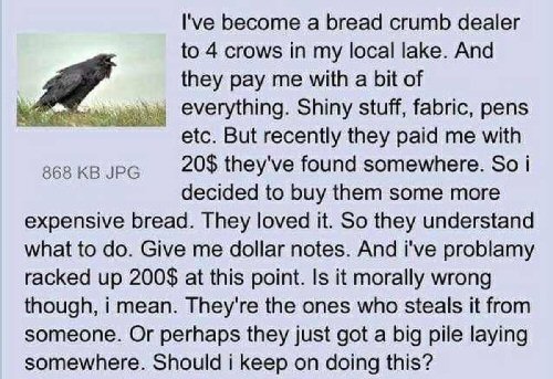 /images/crow.jpg